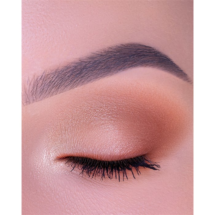 Fun Guy Shadow Palette