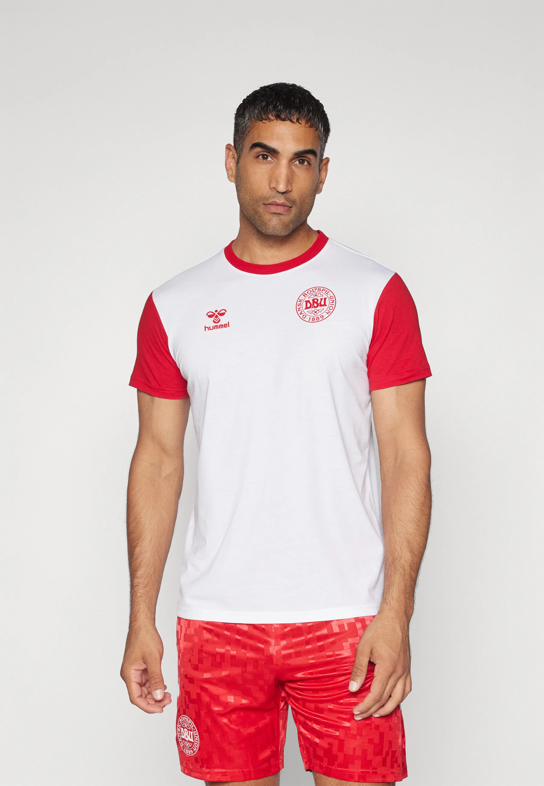 Hummel DENMARK FAN BLOCK TEE - Camiseta con estampado