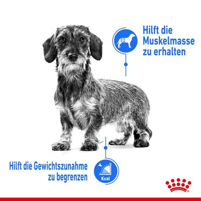 Royal Canin Mini Light Weight Care