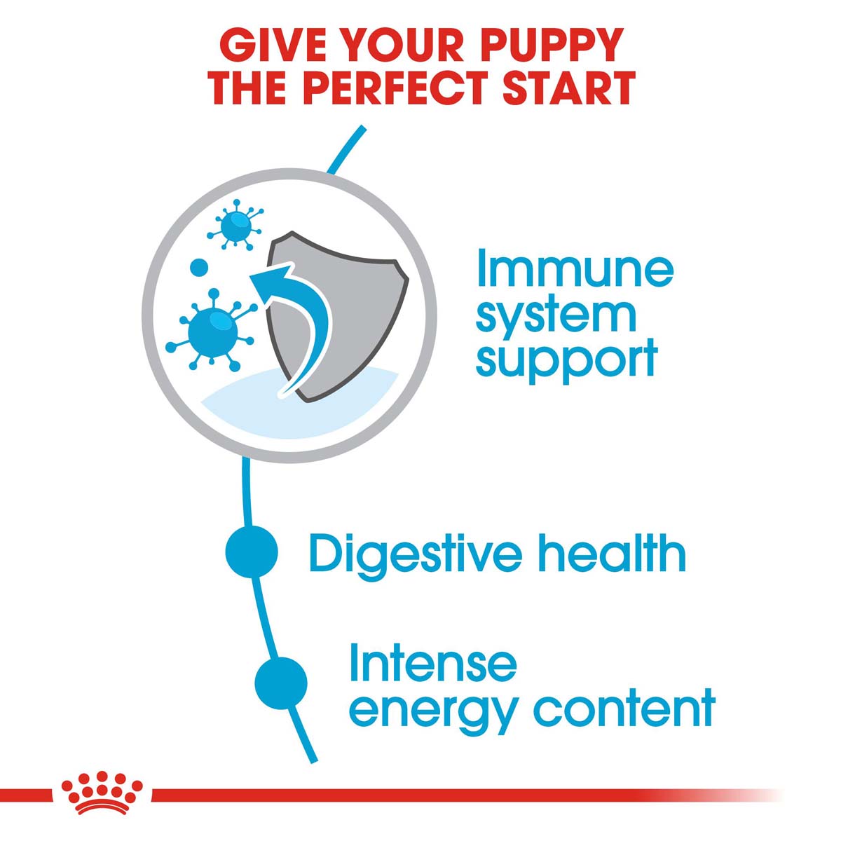 ROYAL CANIN Mini Puppy 2kg + Mini Puppy in Soße 12x85g