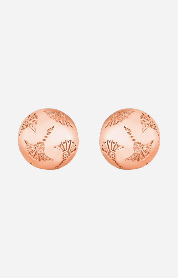 Ohrstecker in Rosé