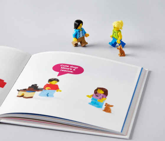 Small Parts: The Secret Life of Minifigures 5007179