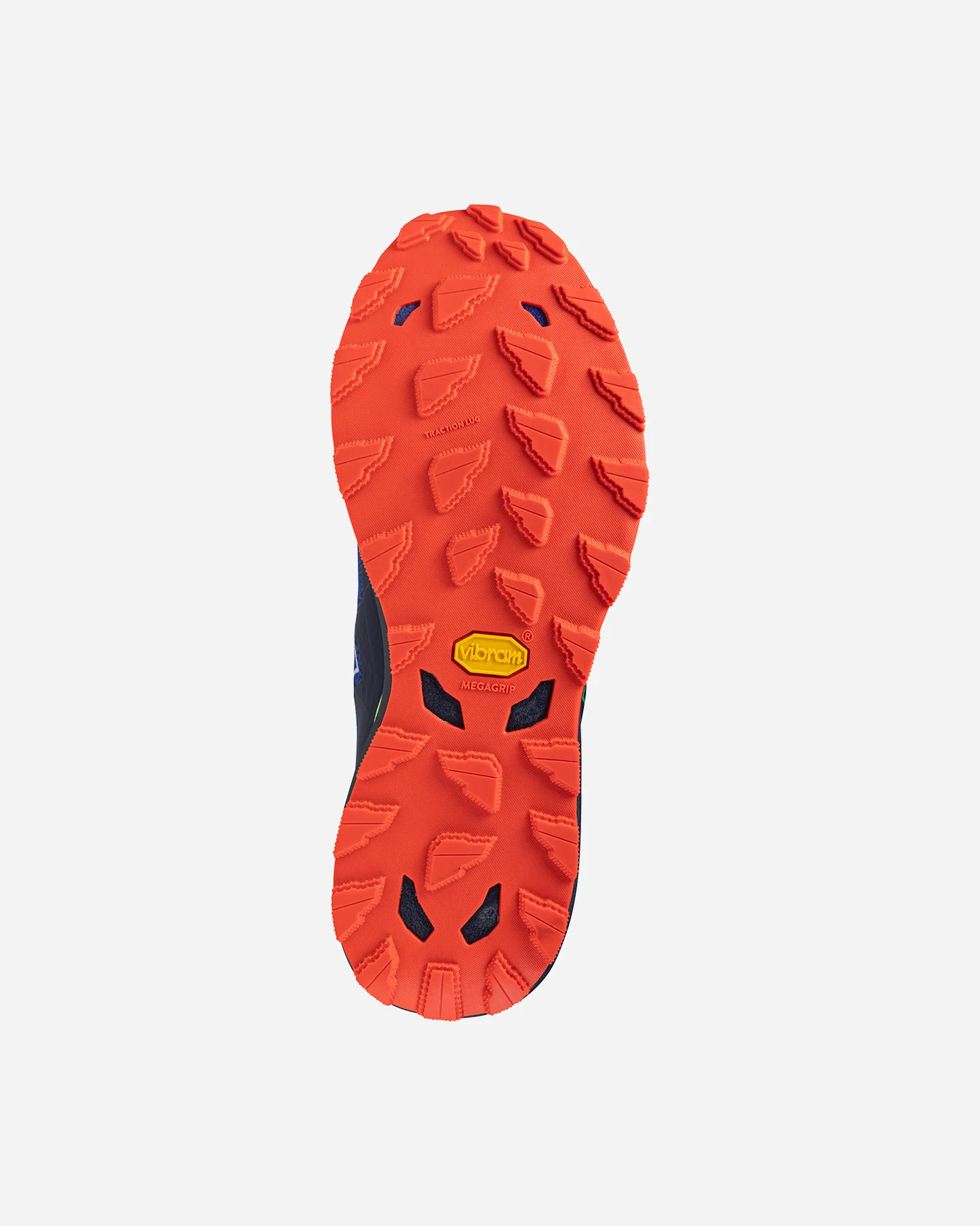 Scarpe Trail Mizuno Wave Daichi 9 M J1GJ2571-02