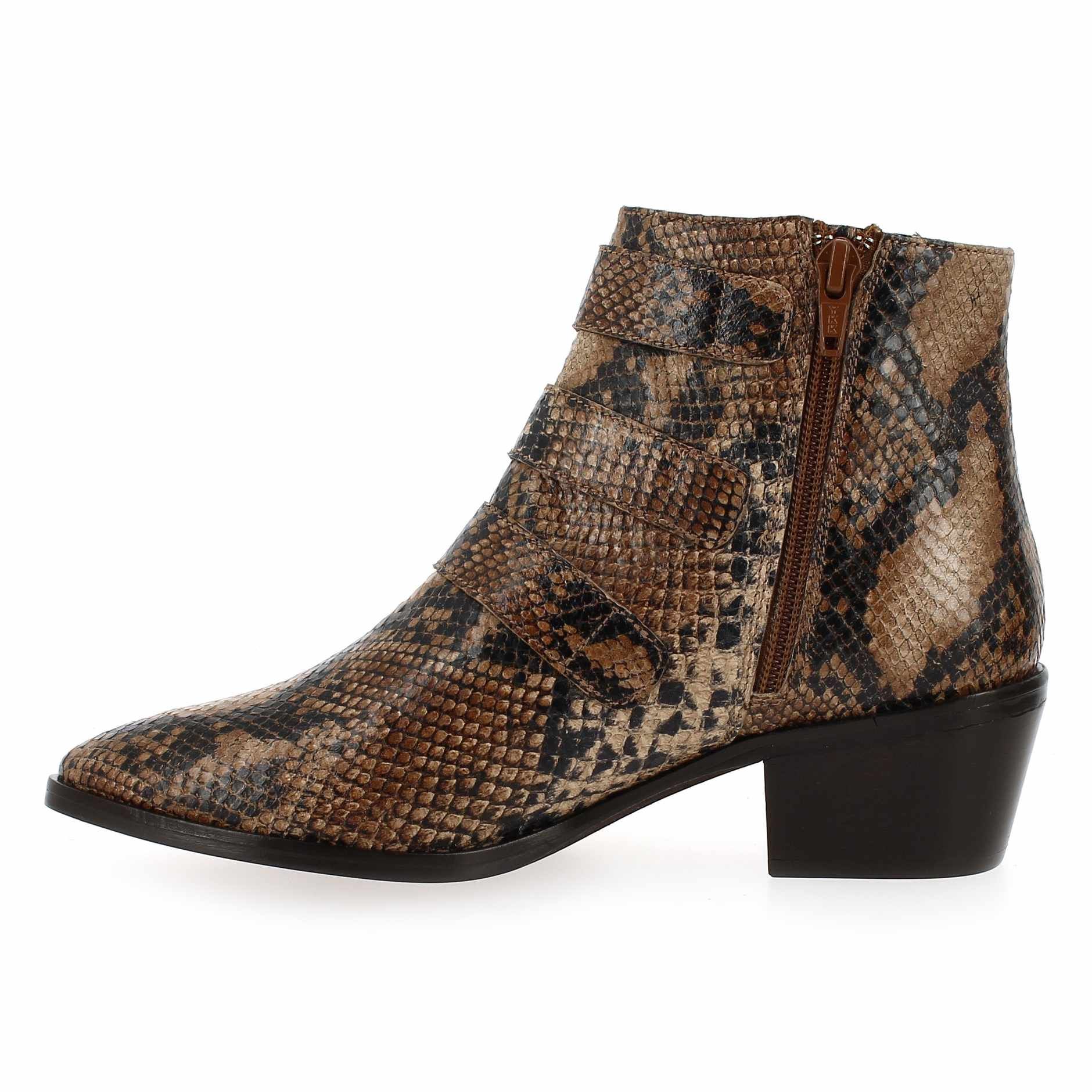 Janie Philip  JAIME - Camel Python