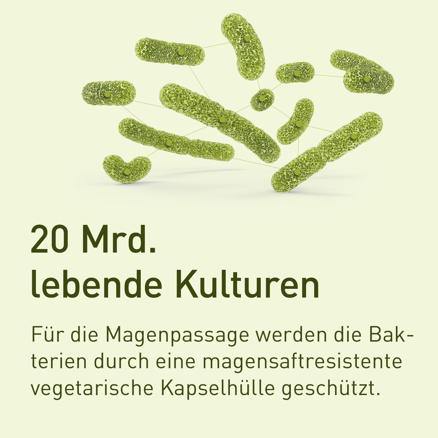 probaflor Probiotika zur Darmsanierung Kapseln