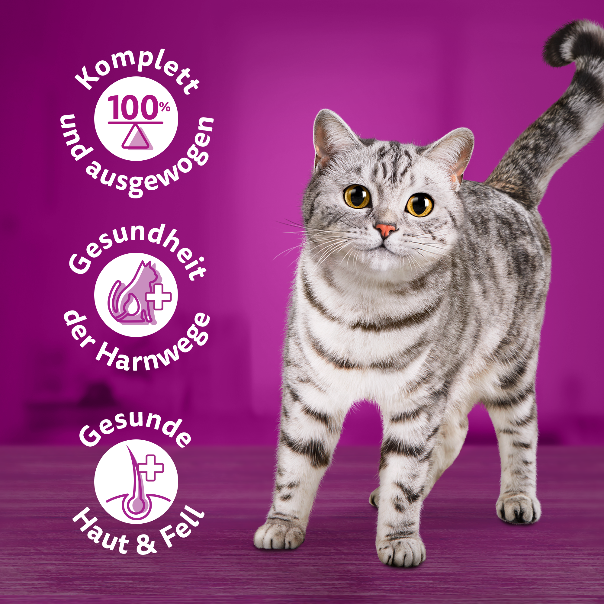 Whiskas Nassfutter Whiskas Adult 1+ Gelee 12x400g Lachs