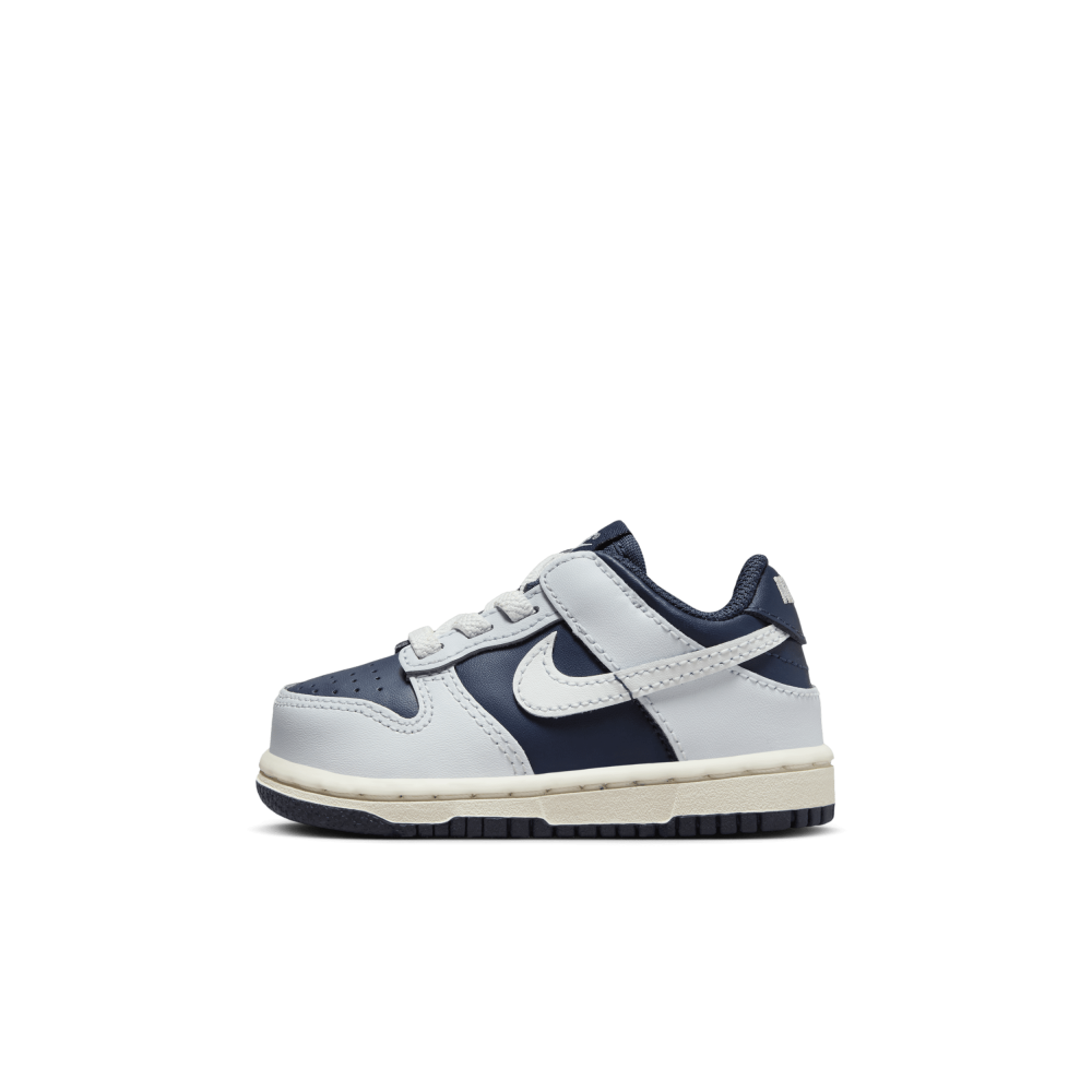Nike Dunk Low FB9107-002 / grau