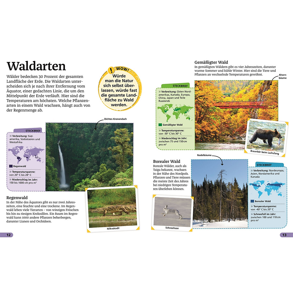 Superchecker! Wald
