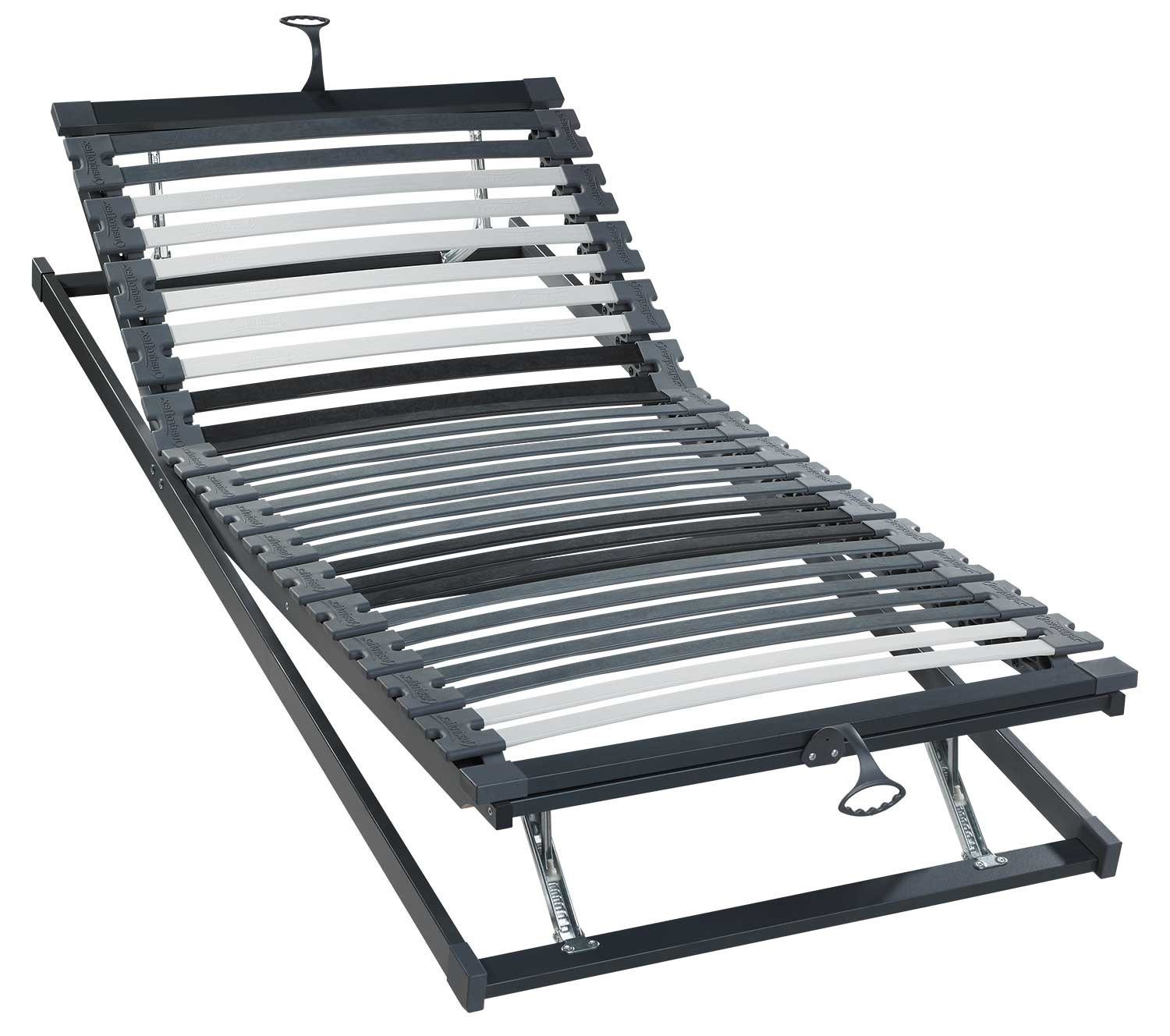 Lattenrost QUADROFLEX COMFORT, 90 x 200 cm, Federholzrahmen,, Kopfteil manuell verstellbar, Fußteil manuell verstellbar, 28 Fiberglasleisten, einstellbare Gesäß- und Beckenzone