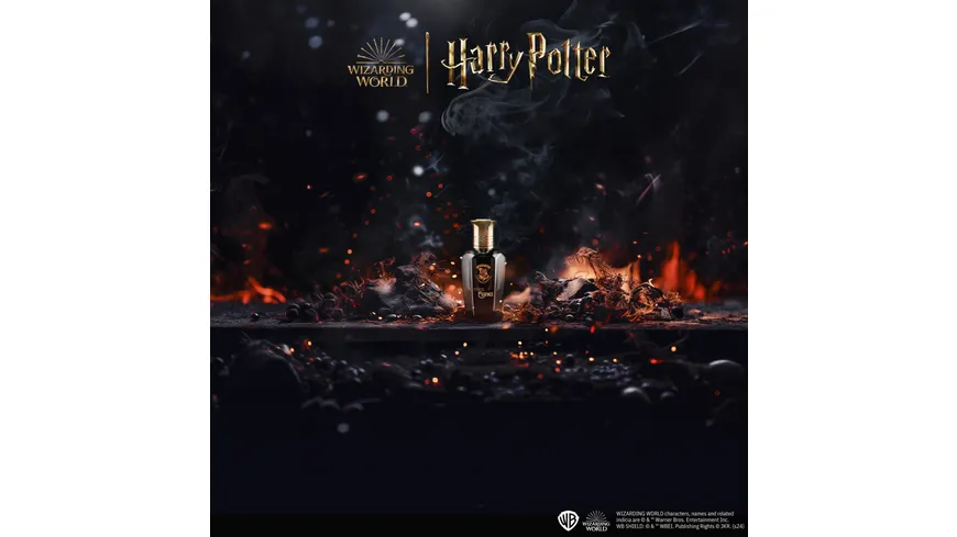 Harry Potter Magical Essence Ambition Man Eau de Parfum 50 ml