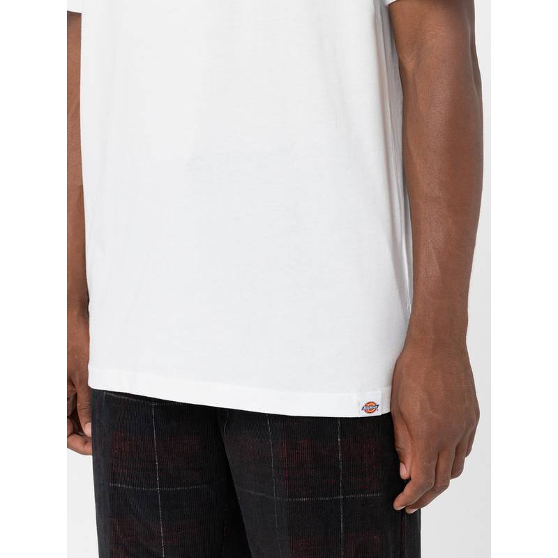 Dickies Aitkin T-Shirt Herren