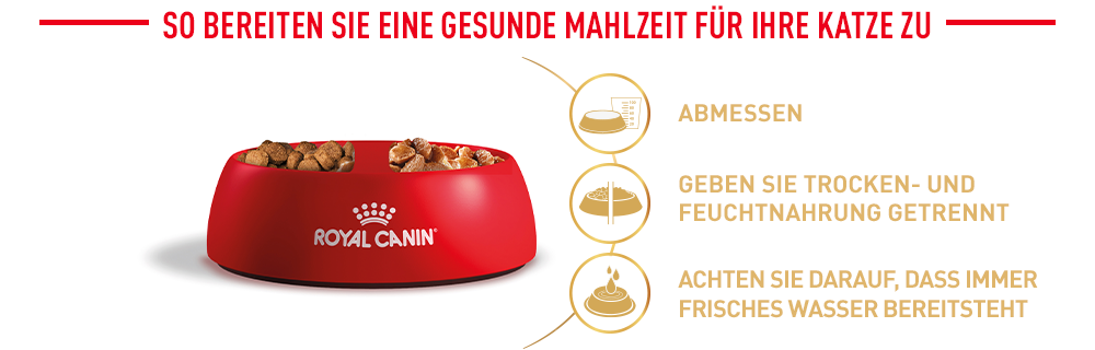 ROYAL CANIN Trockenfutter ROYAL CANIN Persian Adult 10 kg