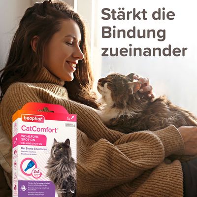 beaphar CatComfort Wohlfühl Spot-On