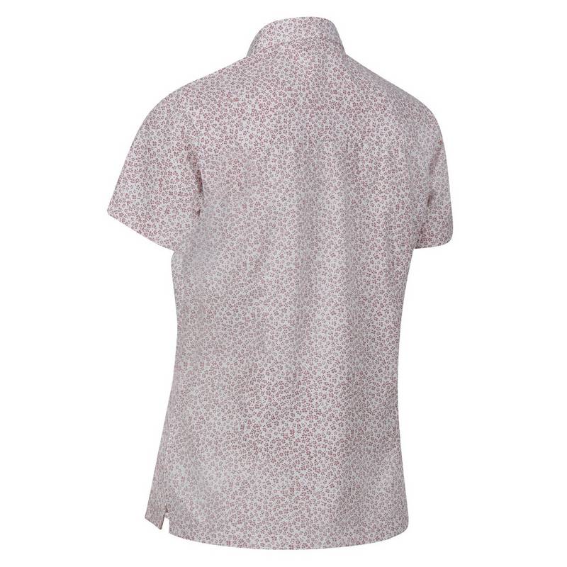 Regatta Mindano VII Funktionsbluse Damen