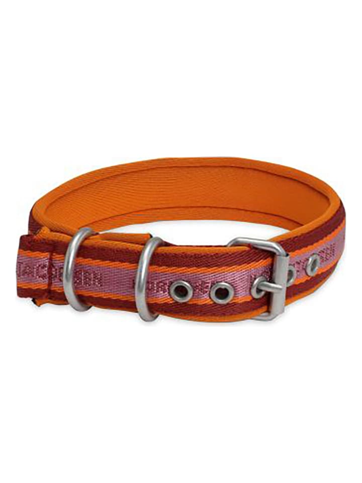 VOV & VUF Hundehalsband in Braun/ Lila/ Orange günstig kaufen 36 cm
