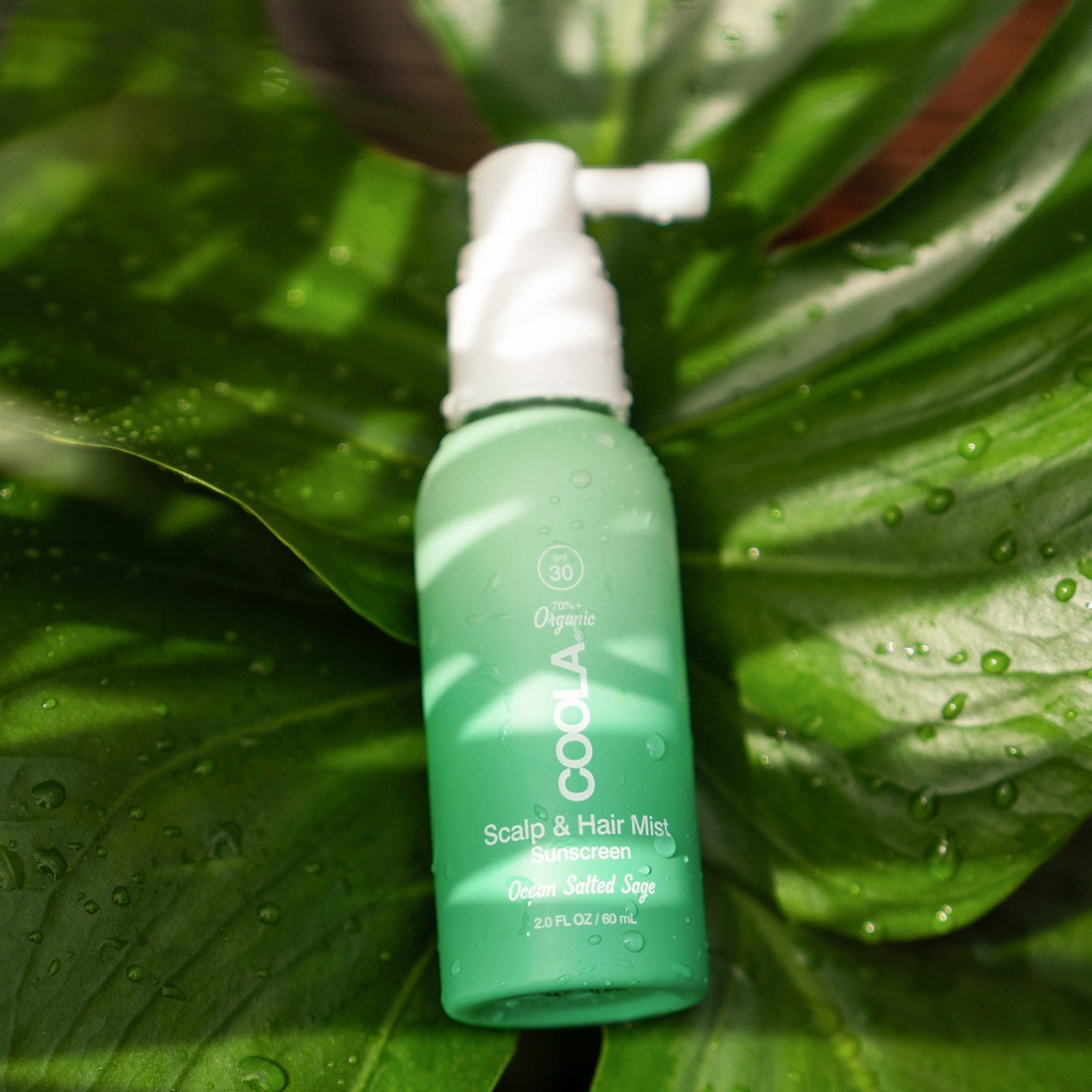 Coola Classic organska meglica za lasišče in lase SPF 30