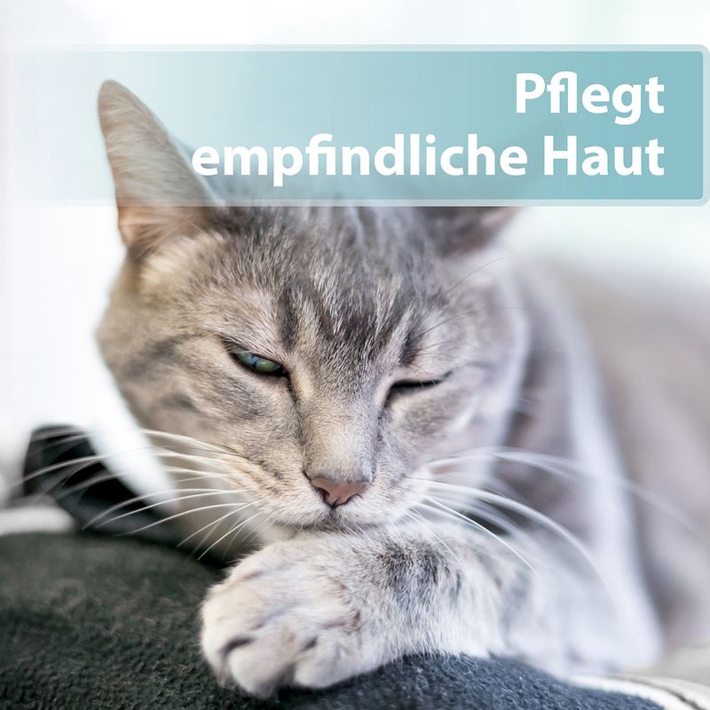 Felisept Hautpflege-Spray zu TOP-Preisen