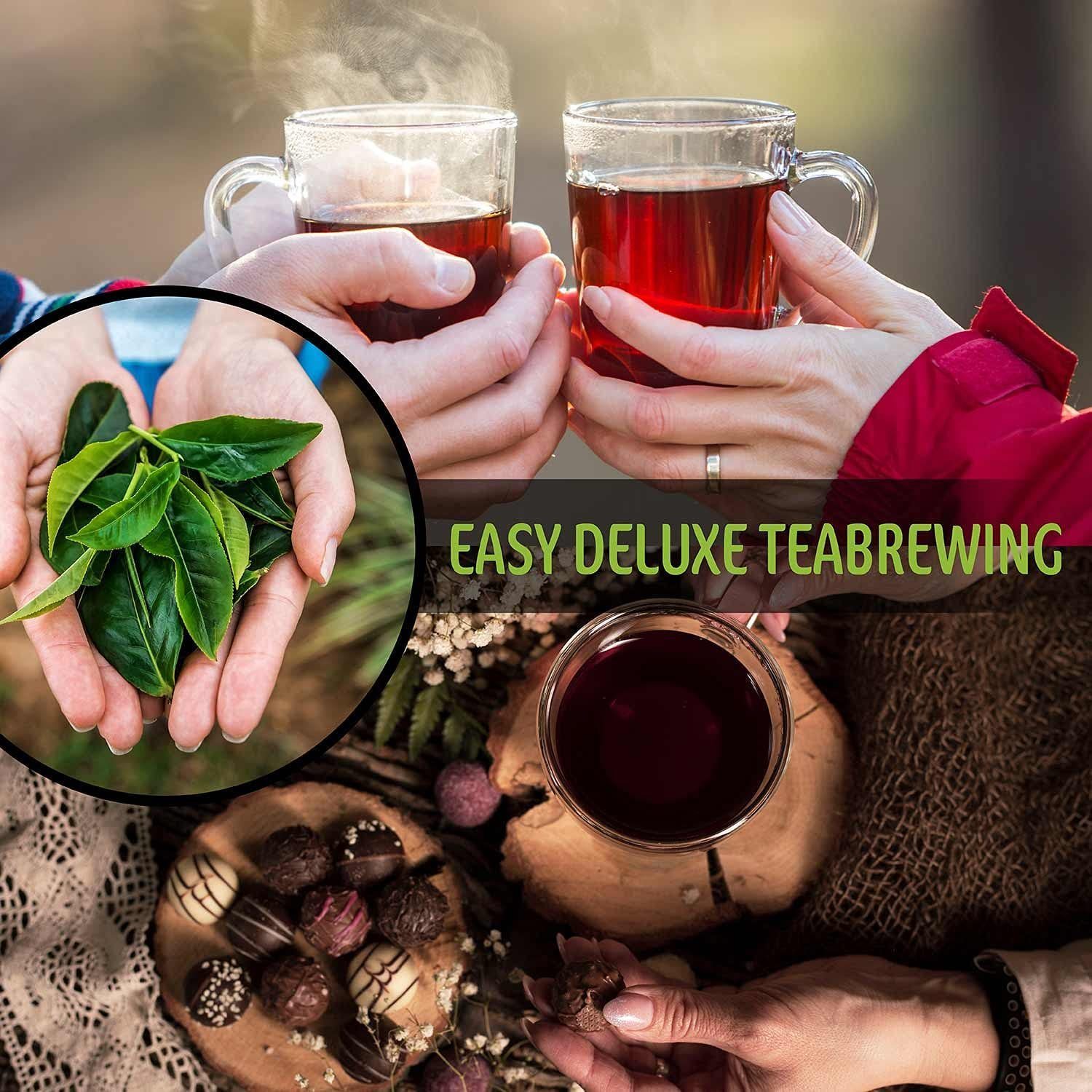 Dimono Teeglas Teebereiter mit Sieb 450 ml, Tee-Filter Tasse mit Deckel