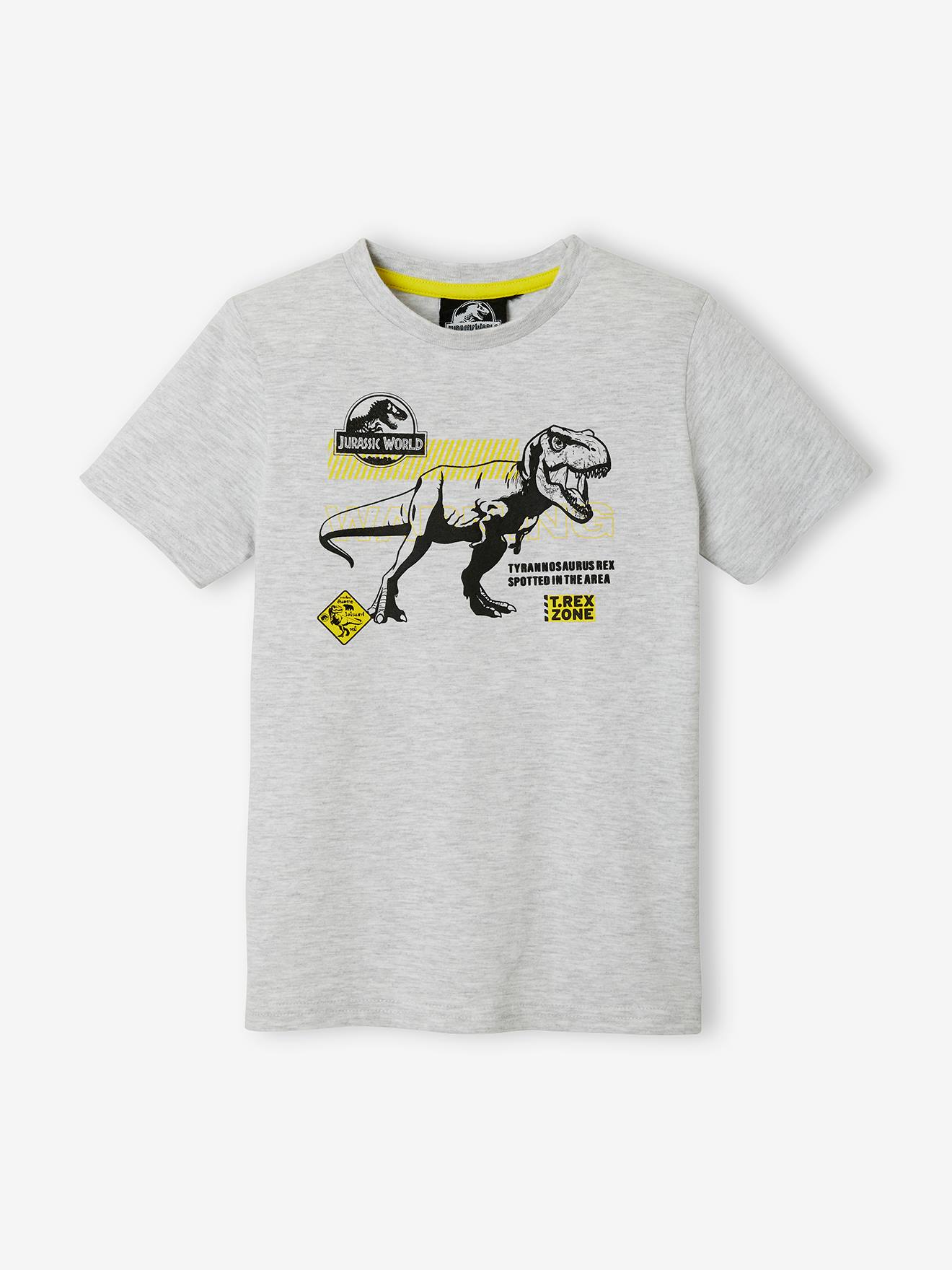 Jurassic World Kinder T-Shirt JURASSIC WORLD - grau meliert