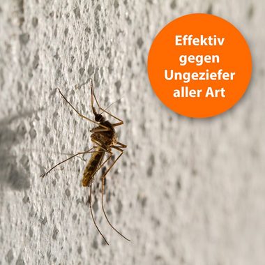 Ardap Insektenspray ARDAP® Ungeziefer Zerstäuber Pumpspray 500 ml