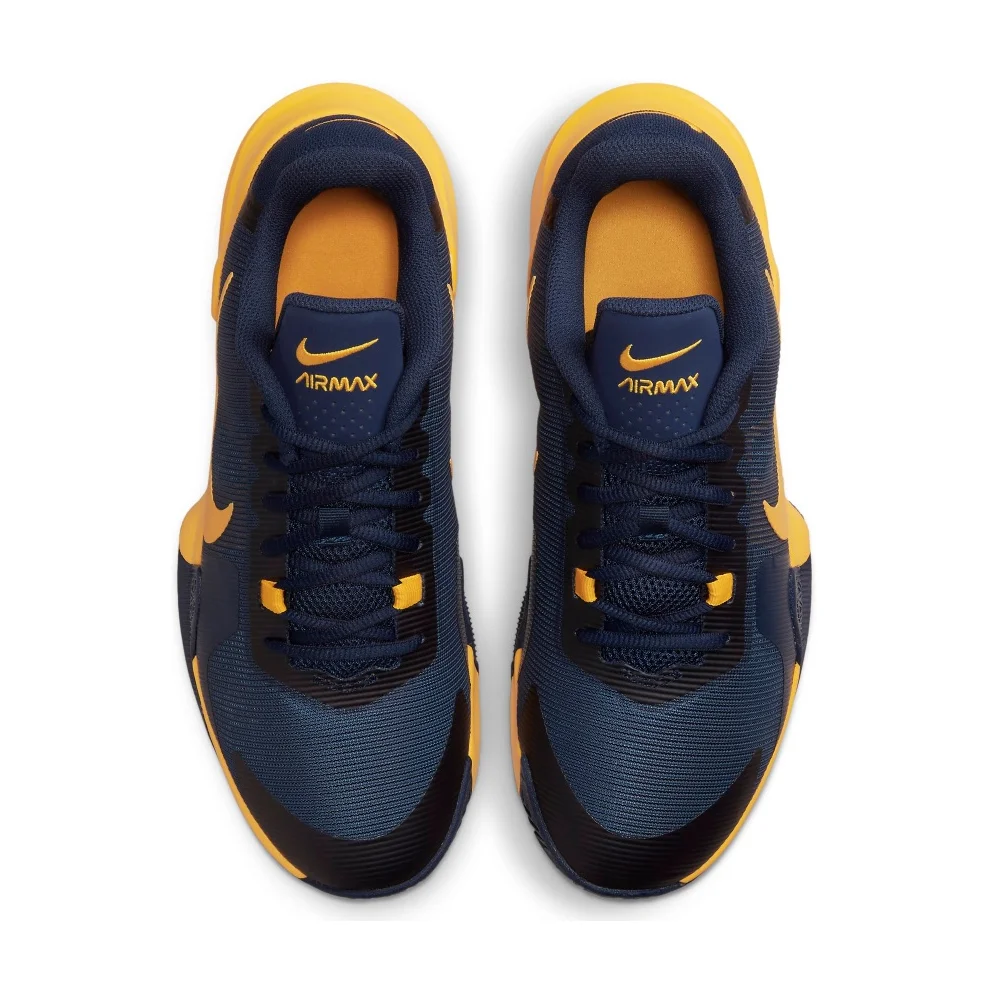 Nike Air Max Impact 4 DM1124-401 / blau