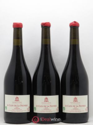 Touraine Clos de la Peuvrie De Nouel 2016 - Lot de 3 Bouteilles