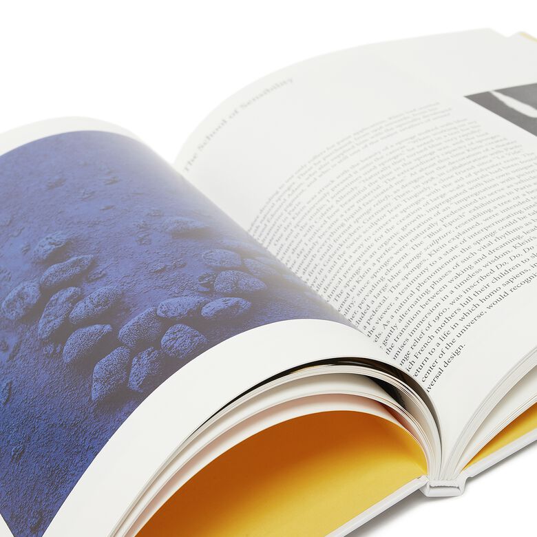 Taschen Basic Art Series: Yves Klein multicolor