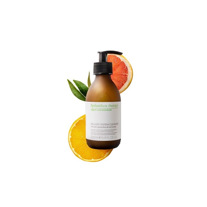 Delivery System Cleanser