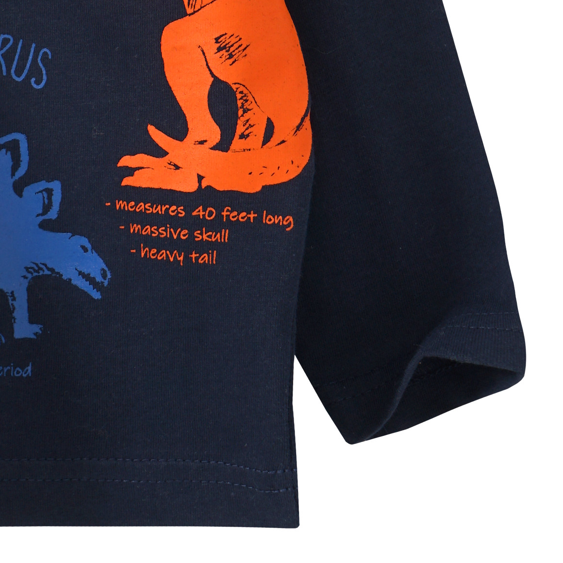 Baby Langarmshirt mit Dino-Print