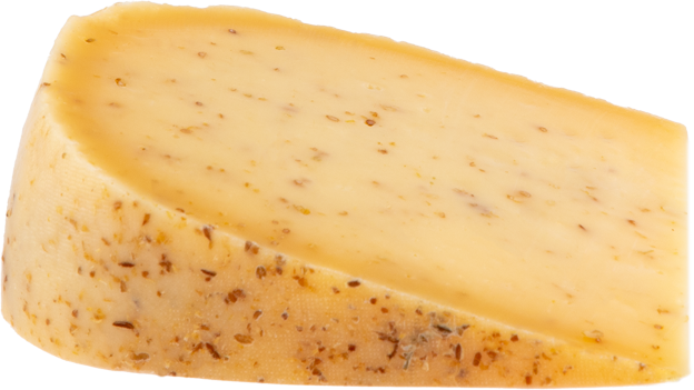 Hafenkäserei Der Muntere Matrose Bio-Schnittkäse