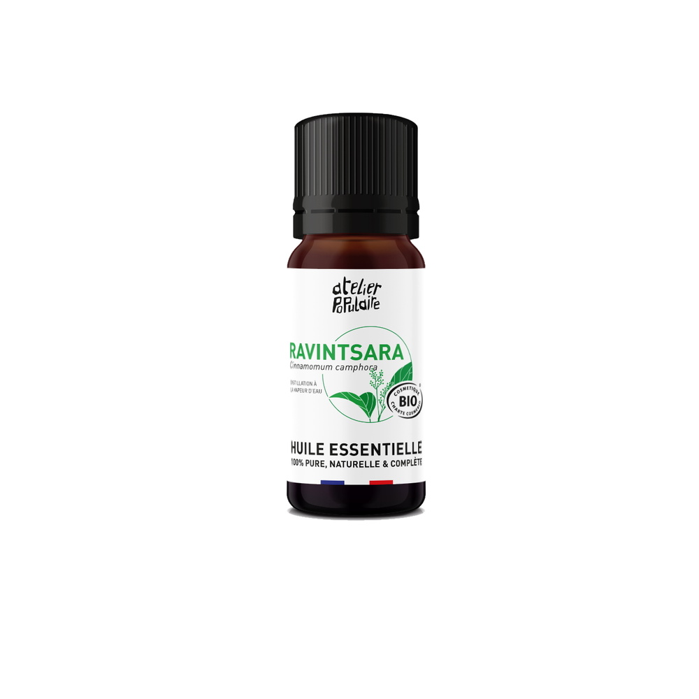 atelier populaire Huile essentielle biologique de Ravintsara | 10mL Huile essentielle