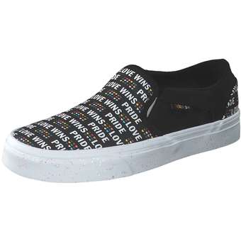 Vans WM Asher Skate Sneaker in schwarz