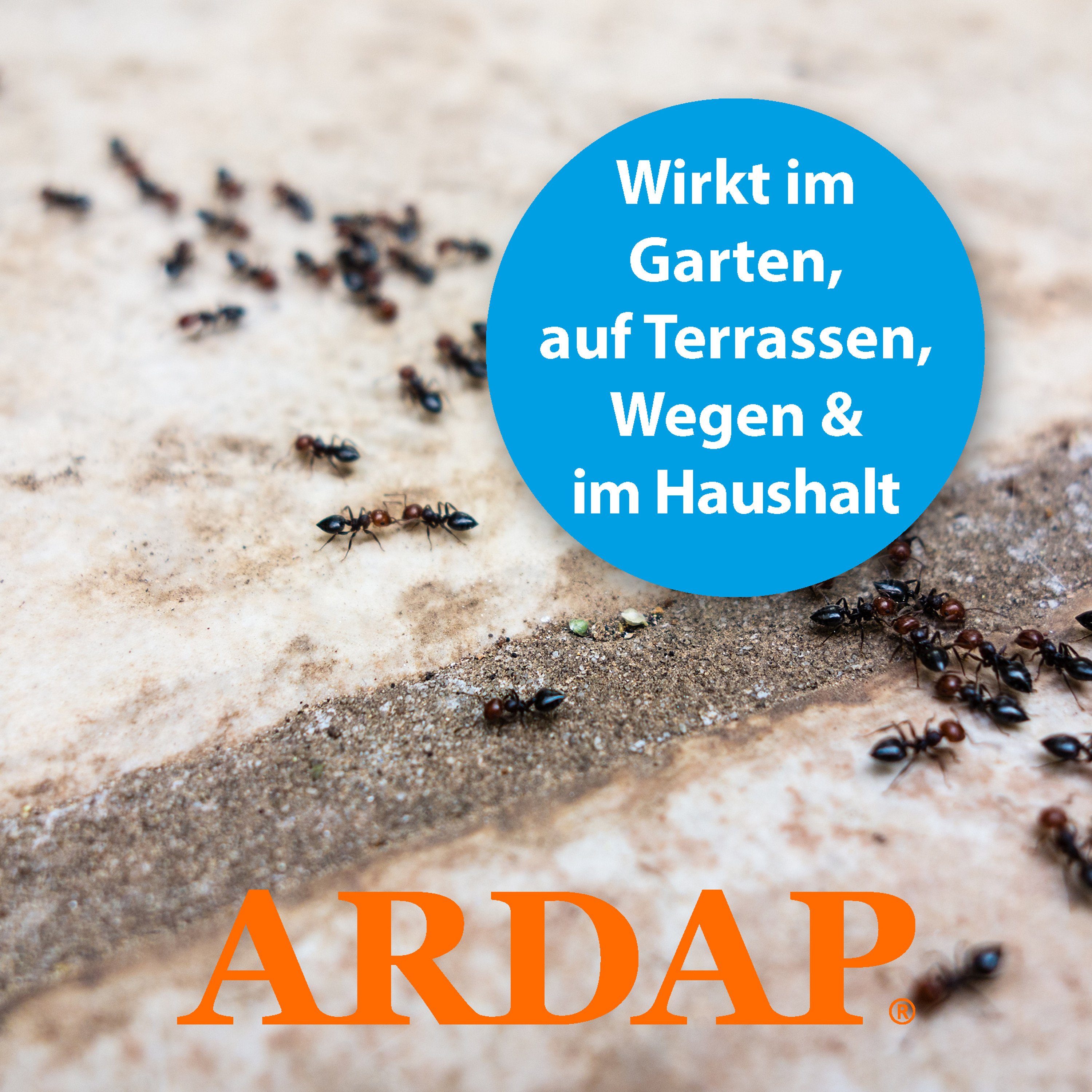 Ardap Insektenspray Ardap Ameisen Spray 400 ml