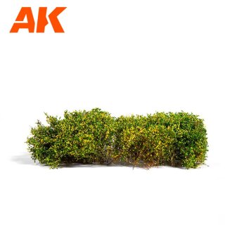 Blomming Yellow Shrubberies