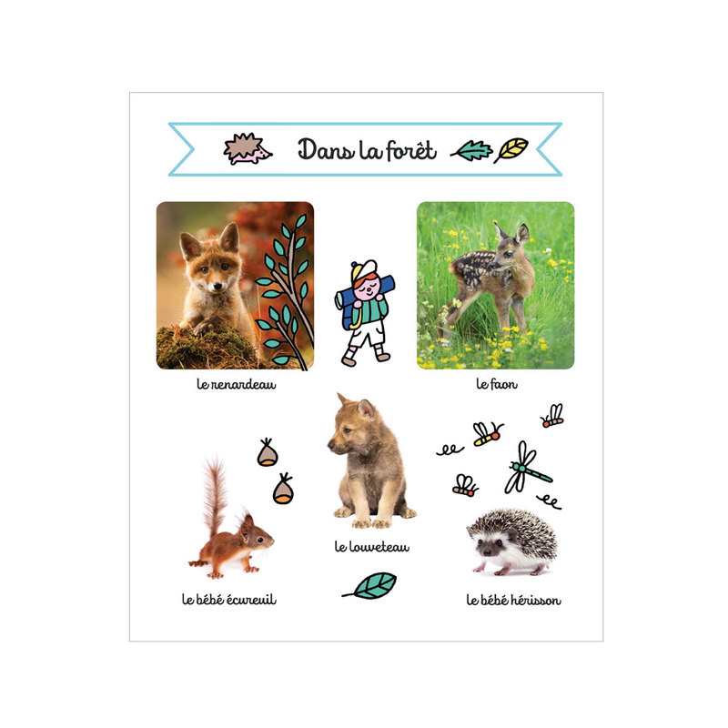 Livre Les Bébés animaux - Larousse Jeunesse