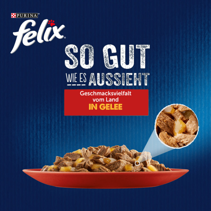 Felix Nassfutter Felix So gut wie es aussieht 12x85g Geschmacksvielfalt vom Land