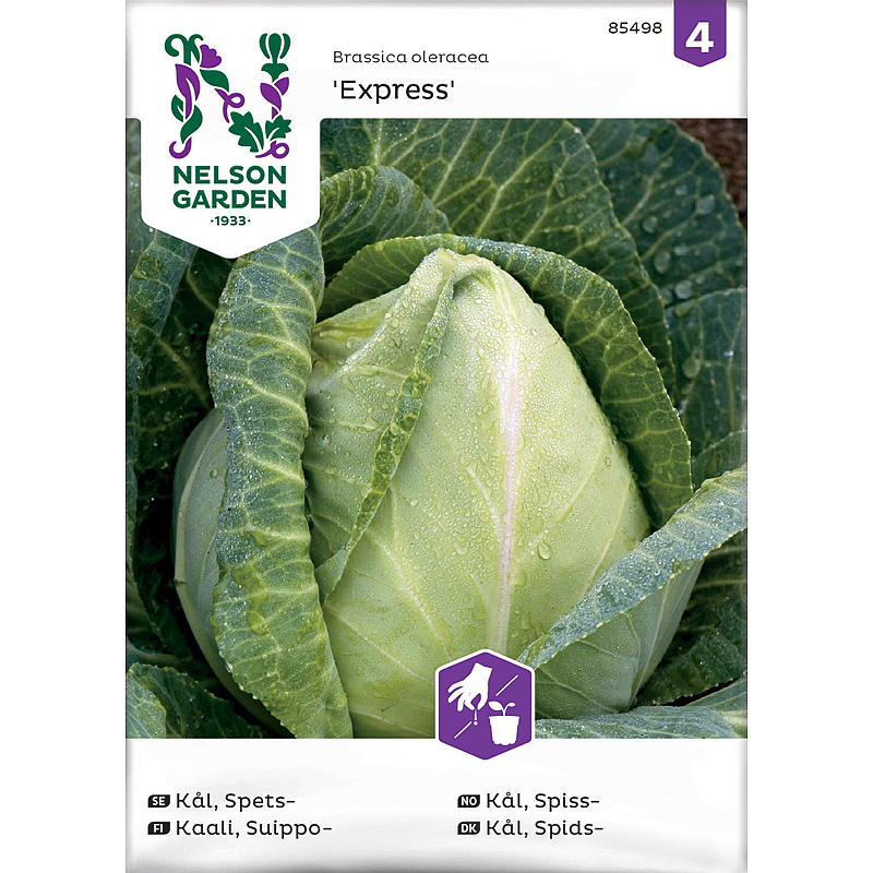Nelson garden Frø Kål Spiss-, Express