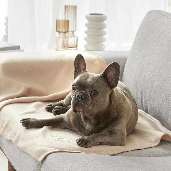 Fleece-Heimtierdecke mit Pfotenstick, 70 x 140 cm, beige