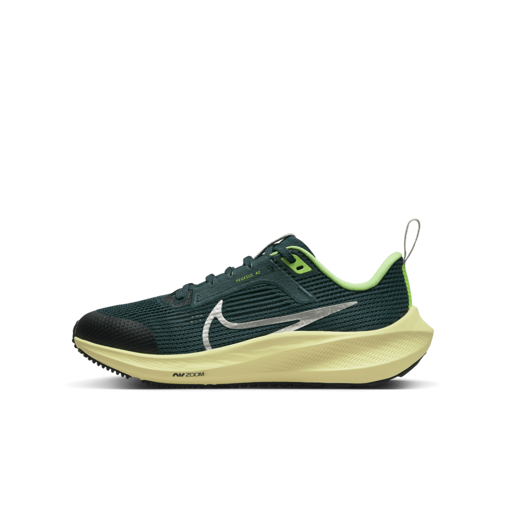 Nike Air Zoom Pegasus 40 DX2498-301 / grün