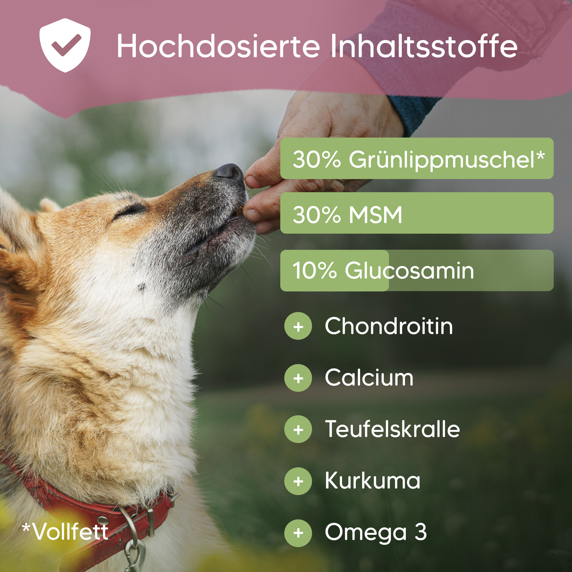 Pawlie's Ergänzungsfutter & Aufzucht Pawlie's Gelenk Fit Tabletten Hund (100 Stück)