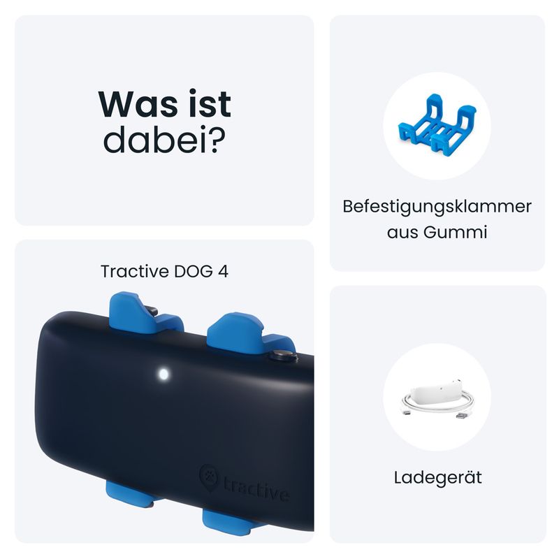 Tractive GPS Tracker für Hunde zu TOP-Preisen