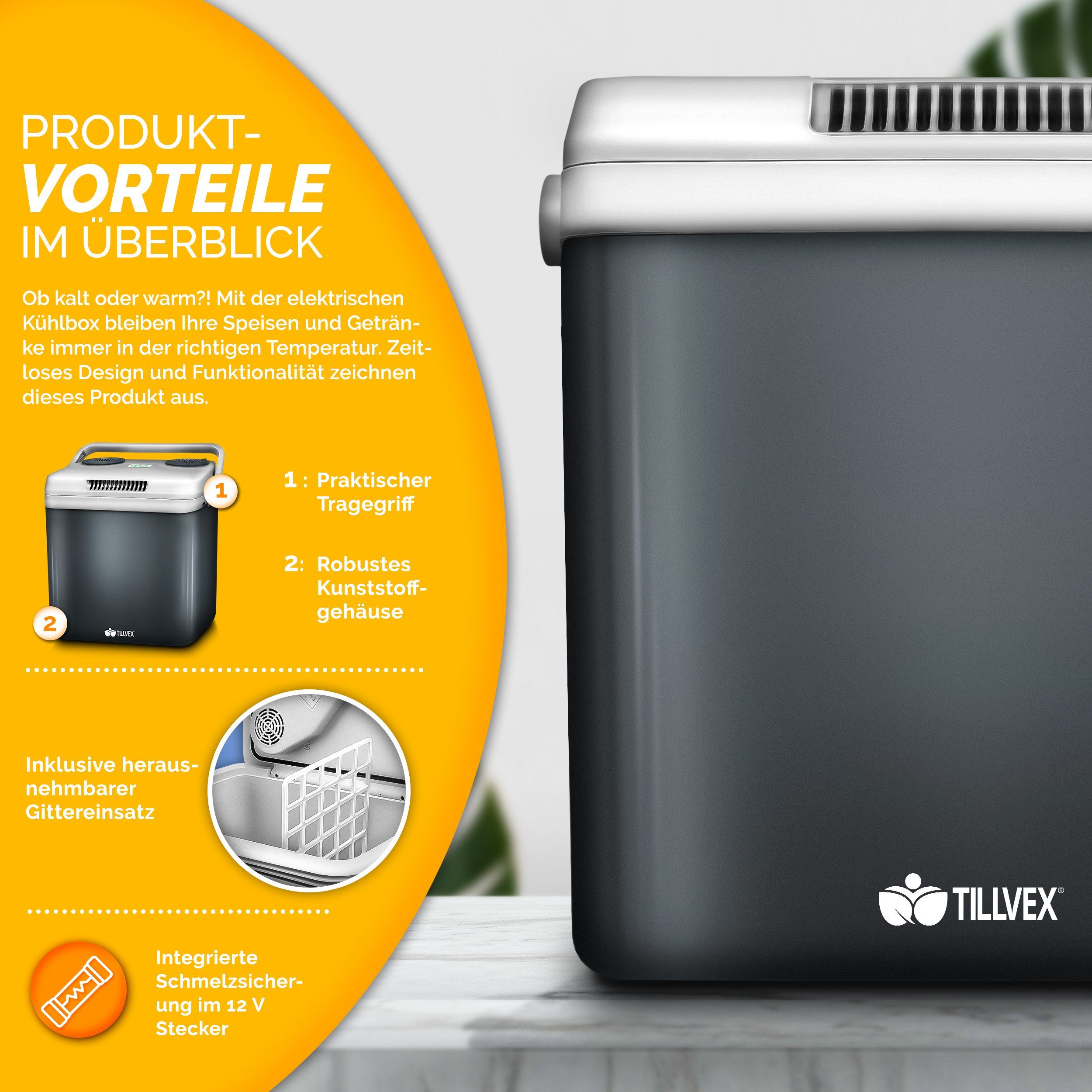 tillvex Kühlbox Kühlbox elektrisch 32L Mini-Kühlschrank, 230 V und 12 V für KFZ Auto Camping
