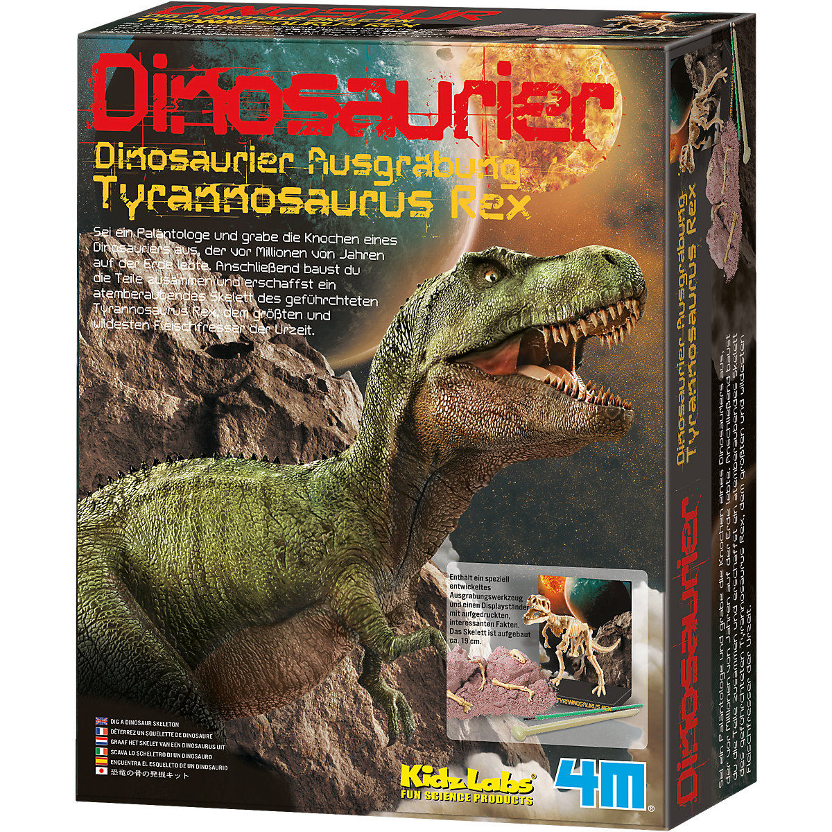 Dinosaurier-Ausgrabungsset T-Rex