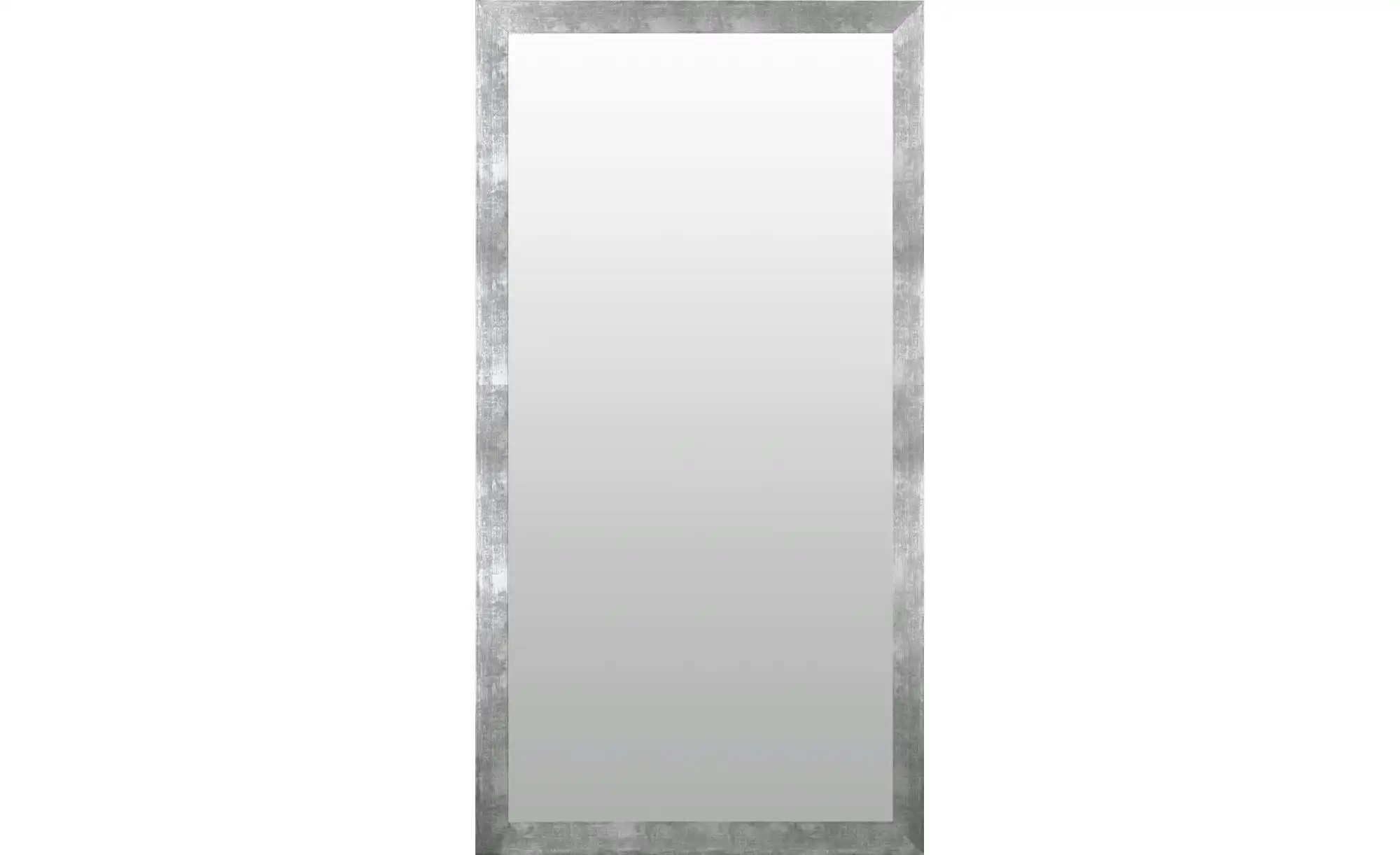 Spiegel 49 x 139 cm