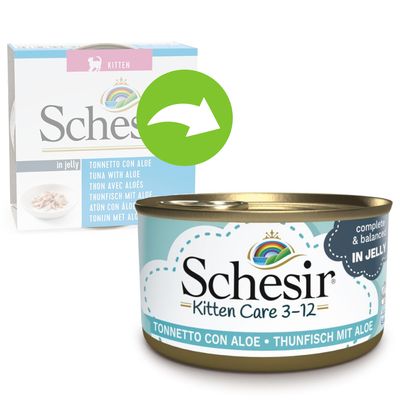 Schesir Kitten in Gelee