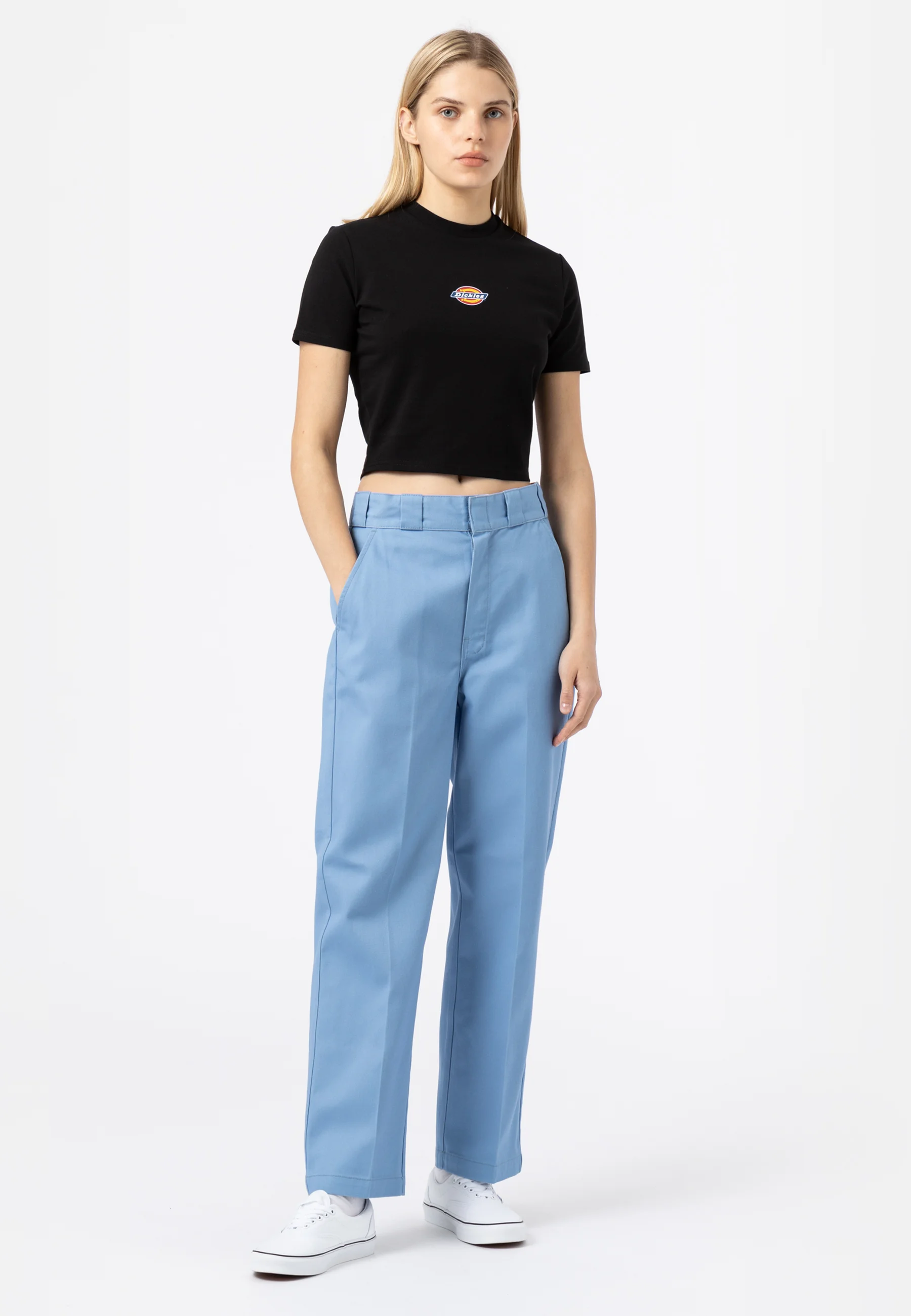 Dickies MAPLE VALLEY TEE - Camiseta con estampado