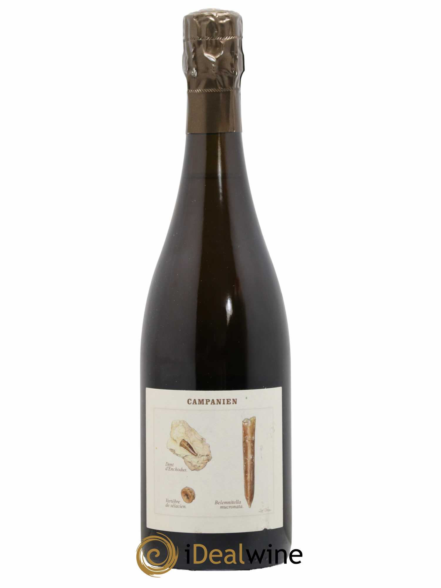 Champagne Campanien Legrand Latour  2018 - Lot de 1 Bouteille