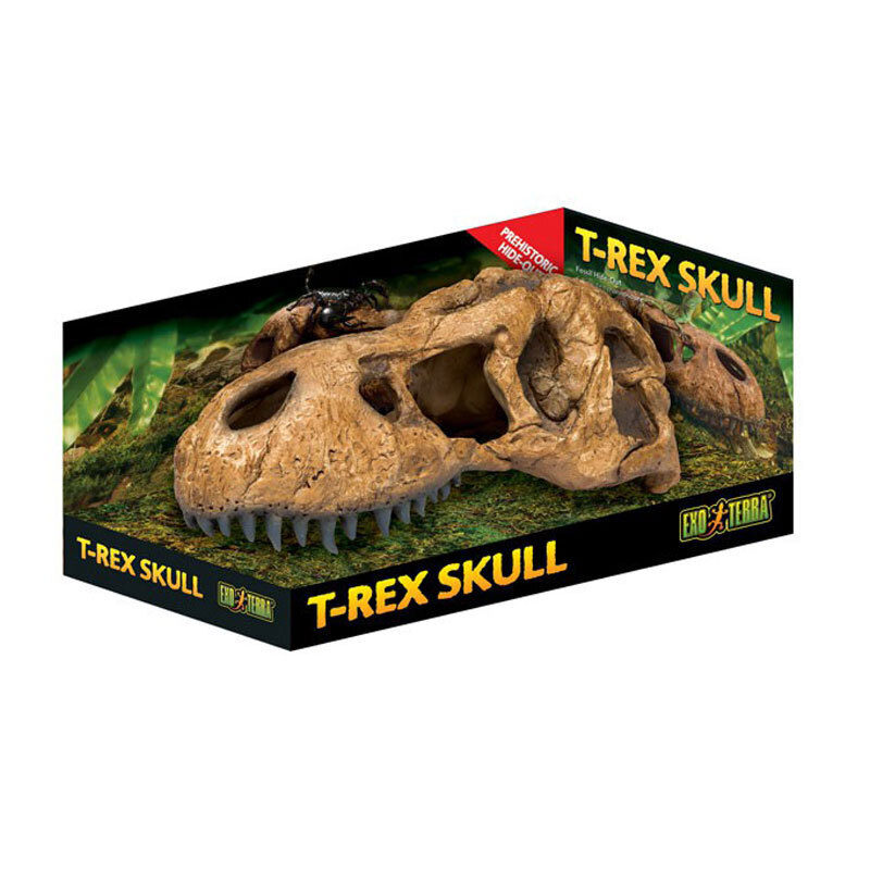 Exo Terra Dekoration Exo Terra T-Rex Schädel
