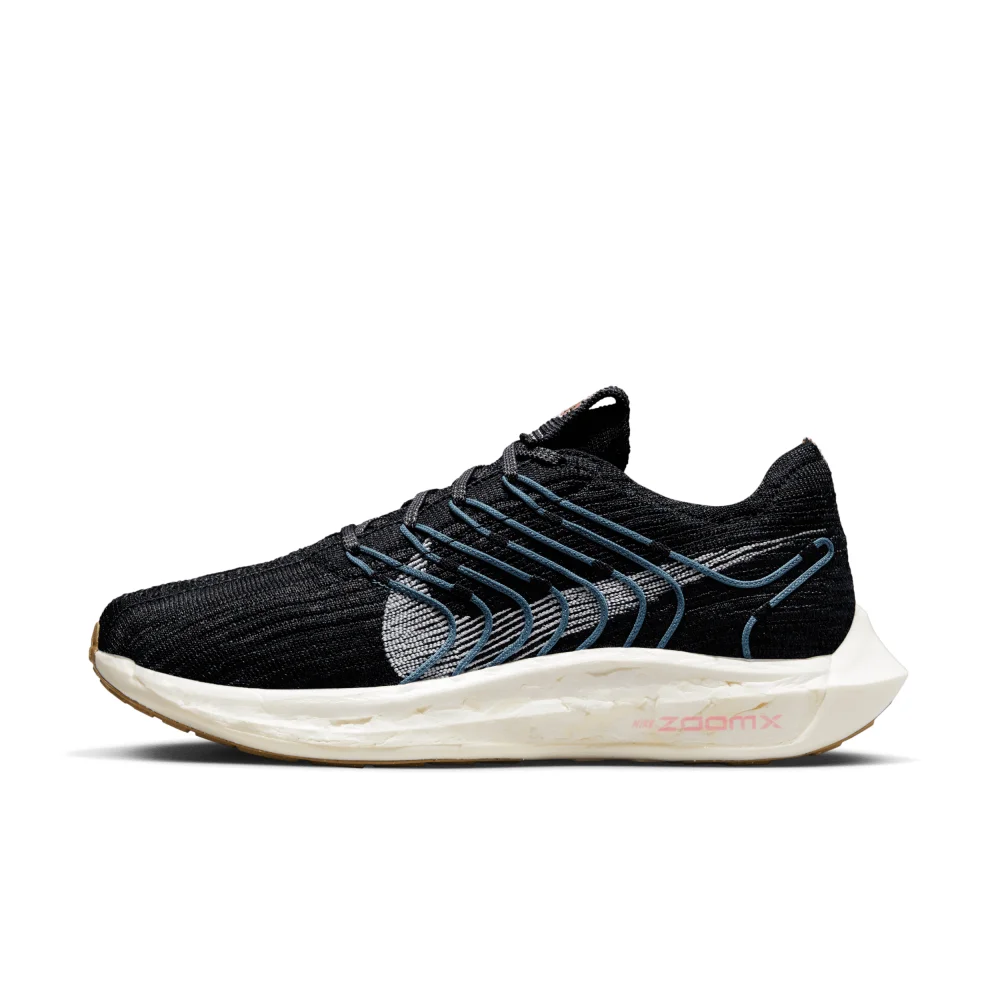 Nike Pegasus Turbo Next Nature DM3414-004 / schwarz
