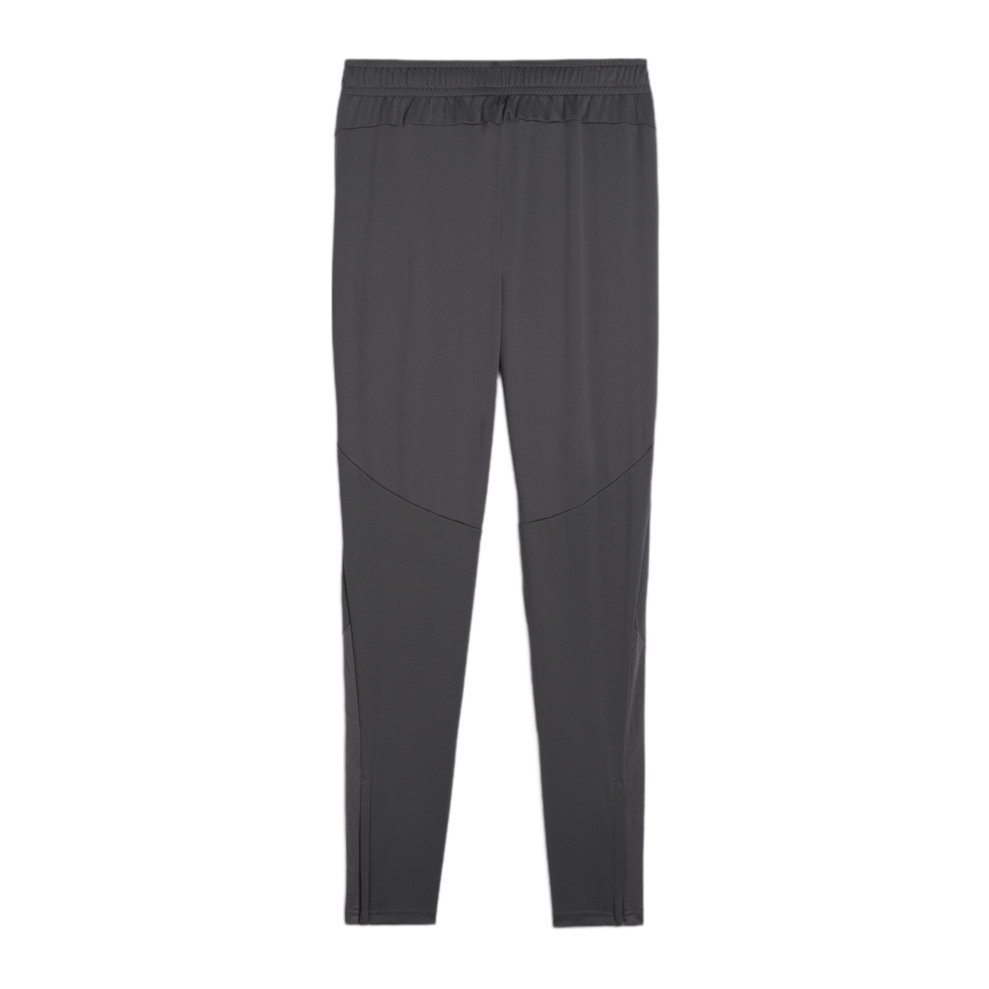 PUMA Schweiz Trainingshose EM 2024 Grau F11